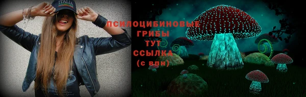 скорость Алзамай