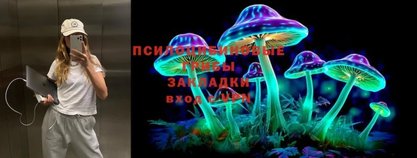 соль ск Алексин