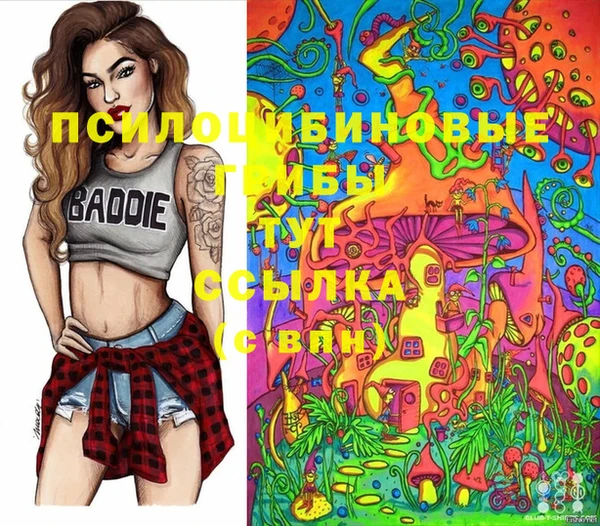 соль ск Алексин
