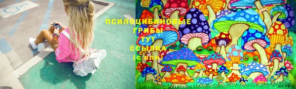 а пвп мука Кулебаки