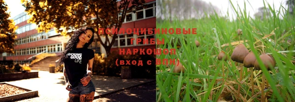 mdpv Коряжма